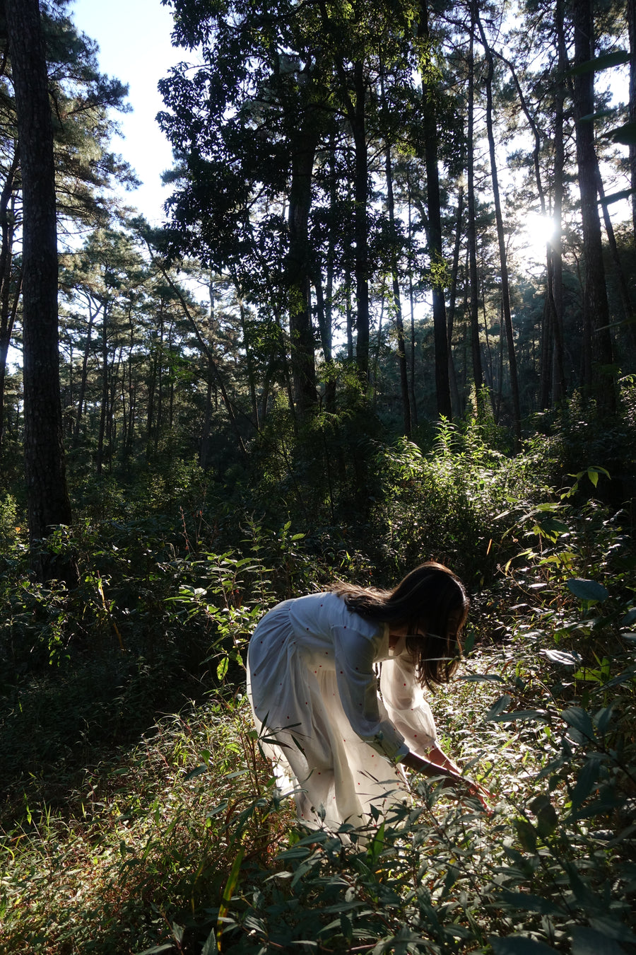 Threadology – threadology.in
